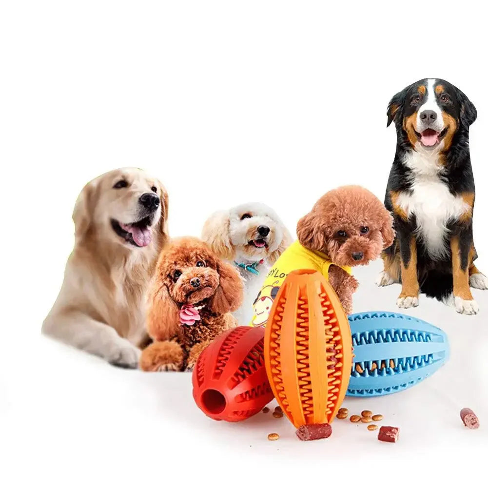 Interactive Chew Toy Ball