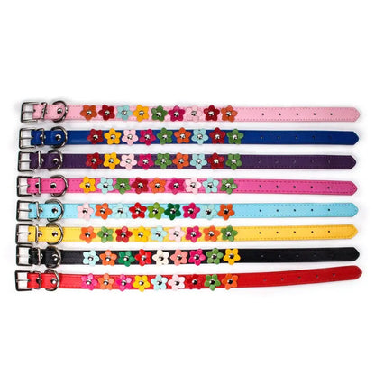 Floral Pet Collar Leash