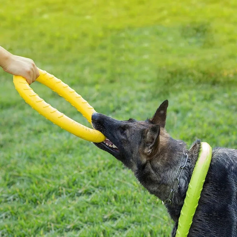 Durable Dog Play Disc