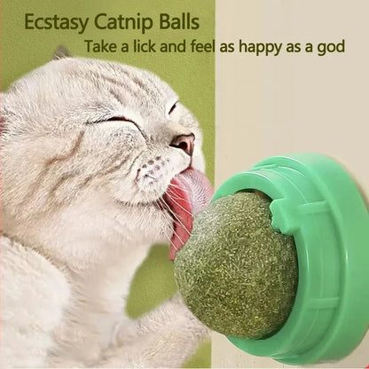 Catnip Scratching Post