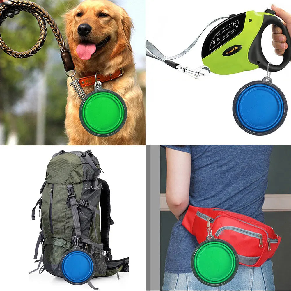 Collapsible Pet Travel Bowl