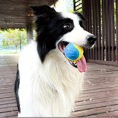 Durable Dog Chew Ball