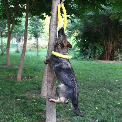 Durable Dog Play Disc