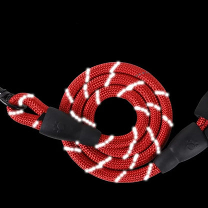 Reflective Nylon Dog Leash