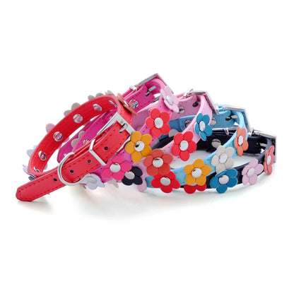 Floral Pet Collar Leash