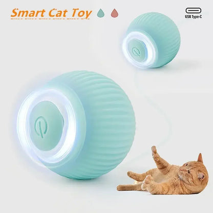 Smart Rolling Cat Toy