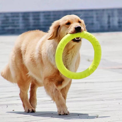 Durable Dog Play Disc