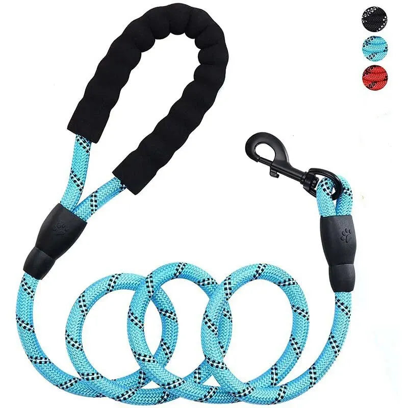 Reflective Nylon Dog Leash