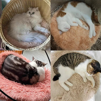 Soft Round Pet Bed