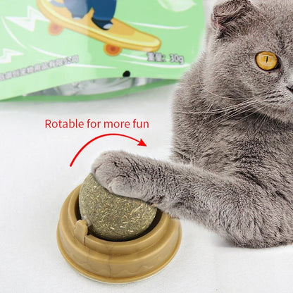 Catnip Scratching Post