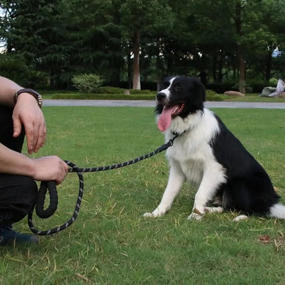 Reflective Nylon Dog Leash